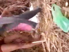 Hot Northindian Girl enjoyed with her BF in field